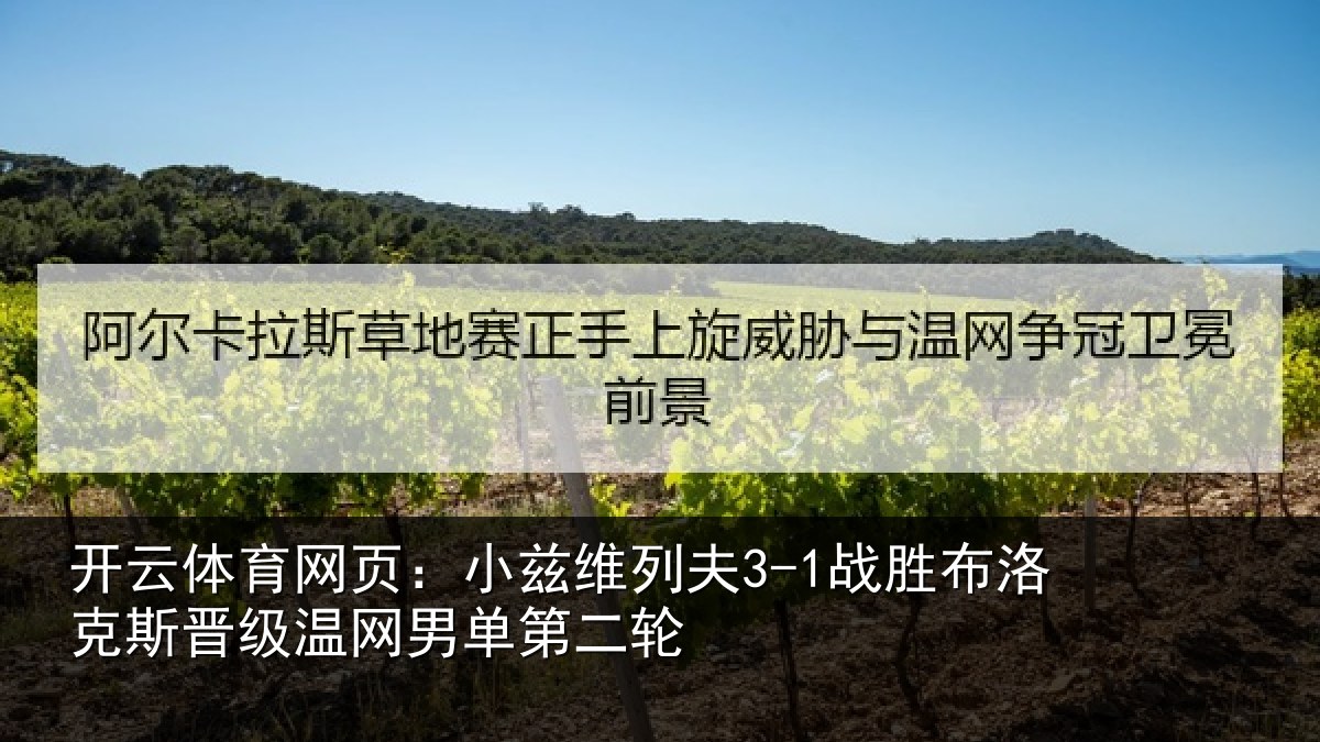 开云体育网页：小兹维列夫3-1战胜布洛克斯晋级温网男单第二轮