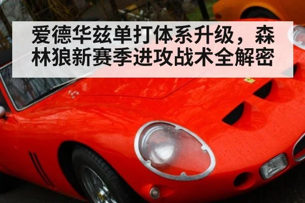 爱德华兹单打体系升级，森林狼新赛季进攻战术全解密